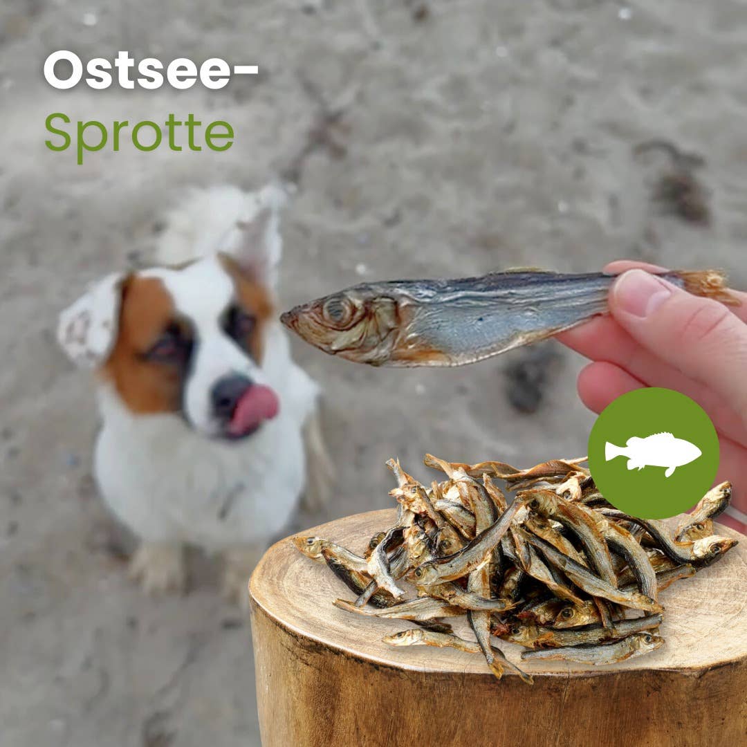 Sprat de la mer Baltique sans conservateurs Kauartikel.com GmbH