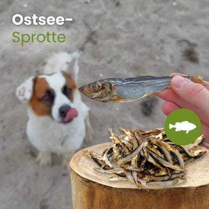 Sprat de la mer Baltique sans conservateurs Kauartikel.com GmbH