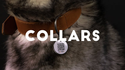 Spotted! Pro Leather Collar Cognac 3 x 65 cm