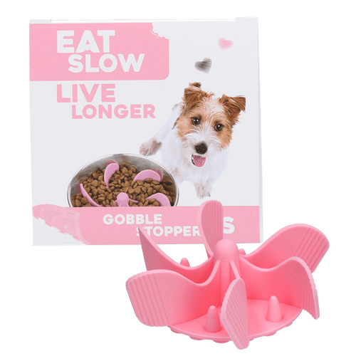 Gamelle anti-glouton Eat Slow Live Longer Gobble Stopper