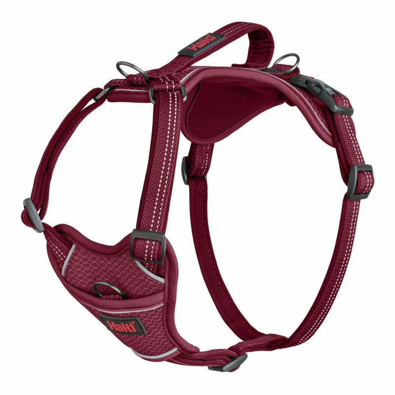 Harnais Anatomie Halti magenta