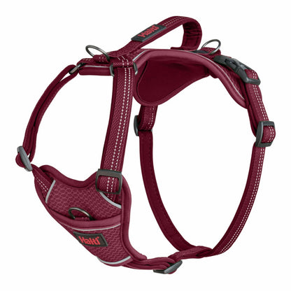 Harnais Anatomie Halti magenta