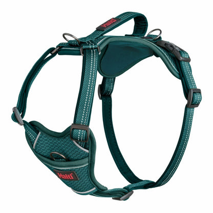 Harnais Anatomie Halti vert
