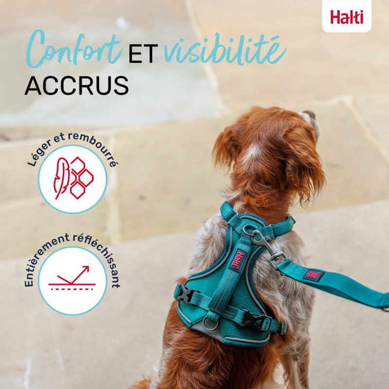 Harnais Anatomie Halti – 3 Coloris, 5 Tailles HALTI