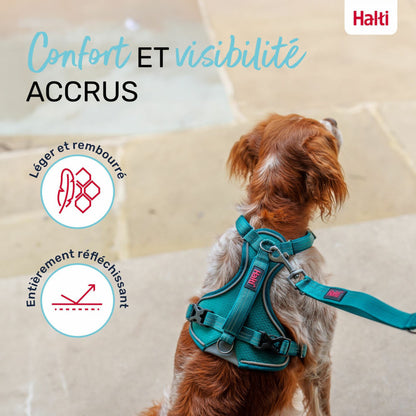 Harnais Anatomie Halti – 3 Coloris, 5 Tailles HALTI