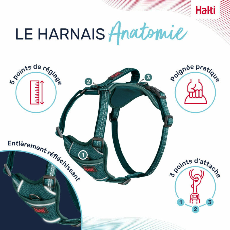 Harnais Anatomie Halti – 3 Coloris, 5 Tailles HALTI