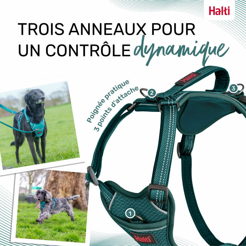 Harnais Anatomie Halti – 3 Coloris, 5 Tailles HALTI