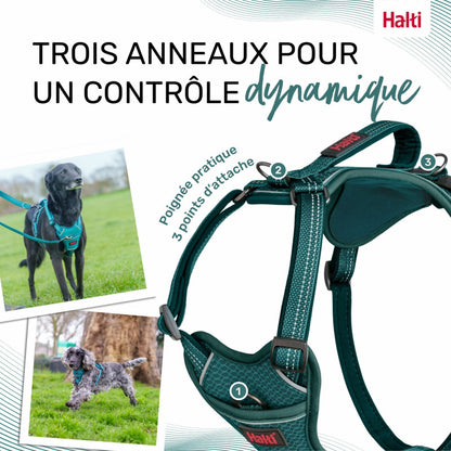 Harnais Anatomie Halti – 3 Coloris, 5 Tailles HALTI