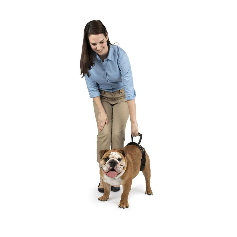 Harnais de levage arrière CareLift Petsafe PETSAFE