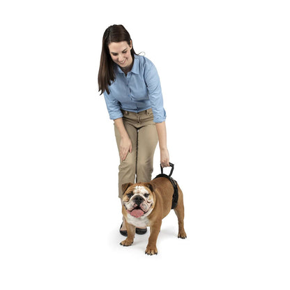 Harnais de levage arrière CareLift Petsafe PETSAFE