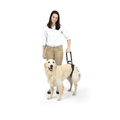 Harnais de levage arrière CareLift Petsafe PETSAFE