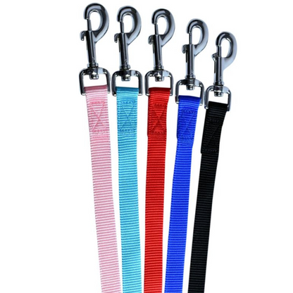 Topmast Hondenriem - Duurzaam Nylon - Sterke Musketonhaken - Lichtblauw