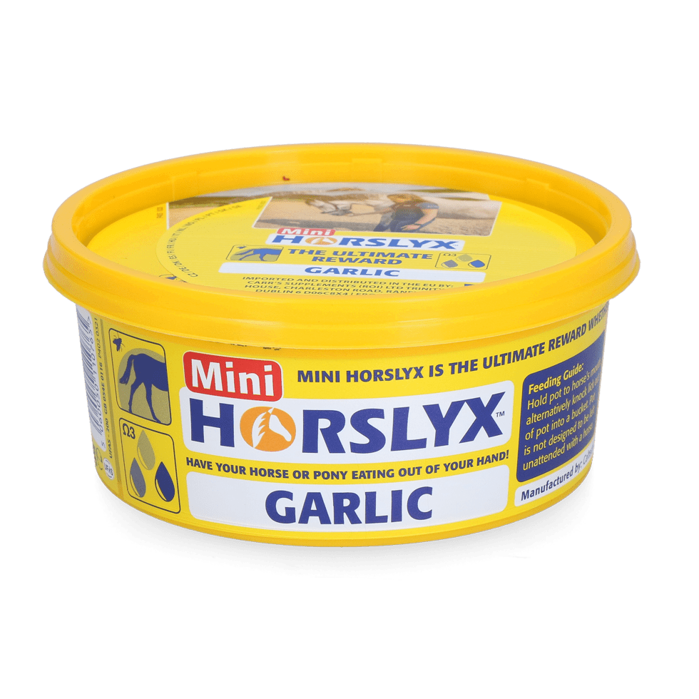 Horslyx Mini – pierre à lécher 650 g - Trufféo