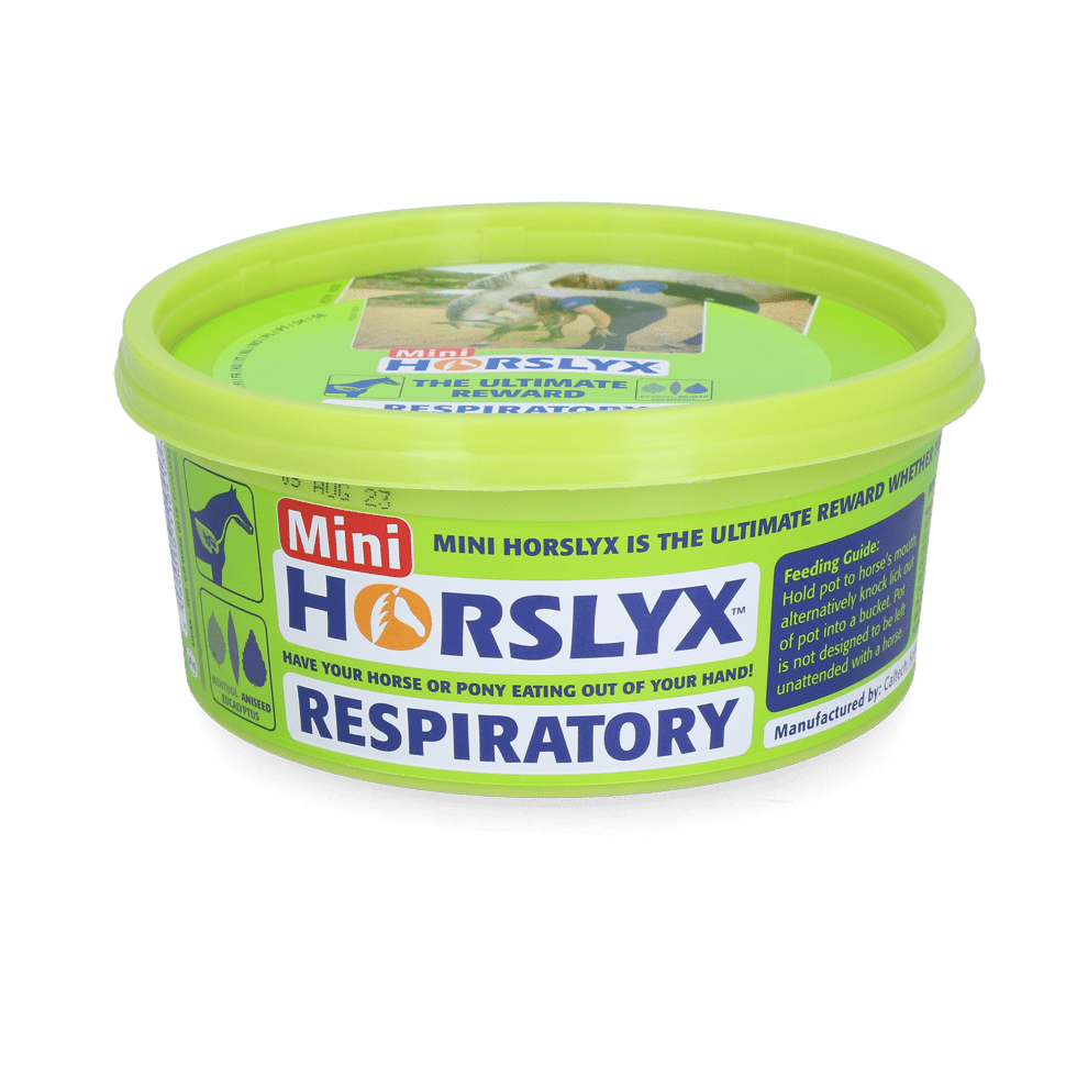 Horslyx Mini – pierre à lécher 650 g - Trufféo