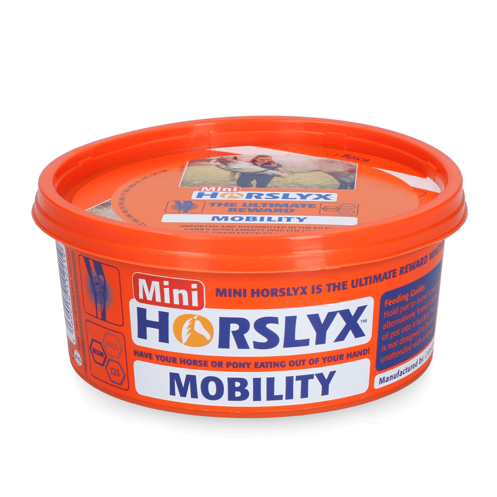 Horslyx Mini – pierre à lécher 650 g - Trufféo