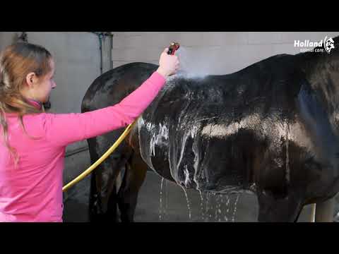 Excellent Horse Grooming Brush L Black