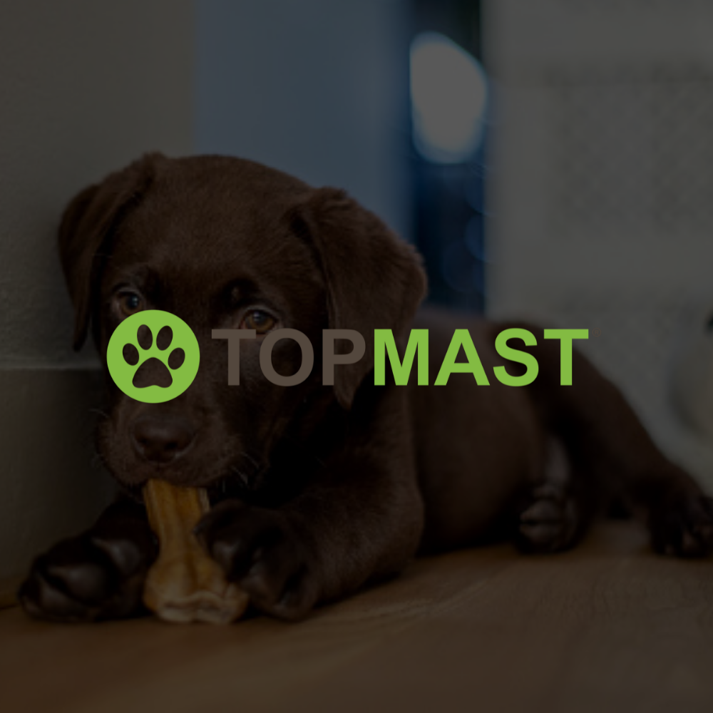 Kauwbotten Hond - Kauwbeen Buffelhuid - Diverse Maten