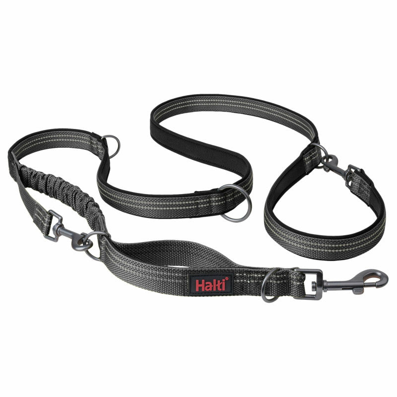 Laisse multi-position Anatomie Halti gris