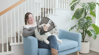 Zenpet Procone XL