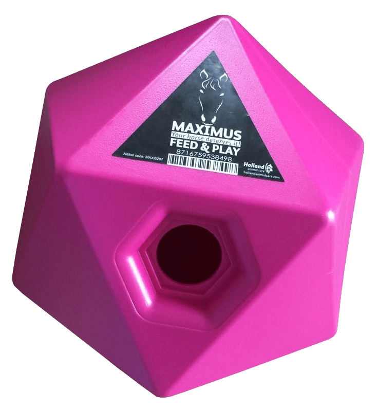 Maximus Feed & Play – cube à friandises - Trufféo
