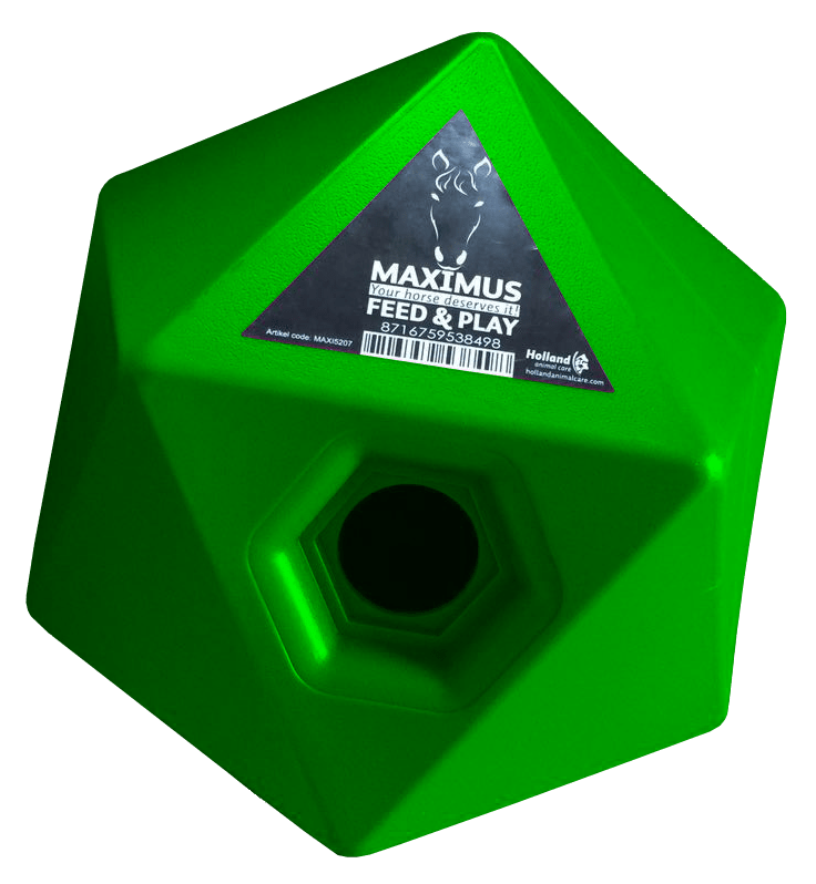 Maximus Feed & Play – cube à friandises - Trufféo