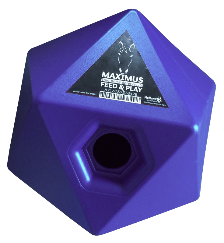 Maximus Feed & Play – cube à friandises - Trufféo