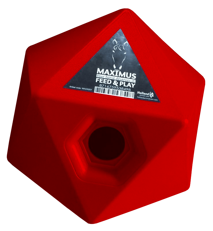 Maximus Feed & Play – cube à friandises - Trufféo