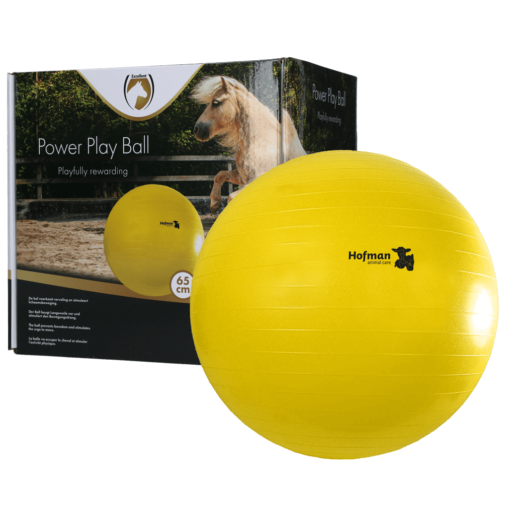 Maximus Power Play Ball – balle de jeu - Trufféo