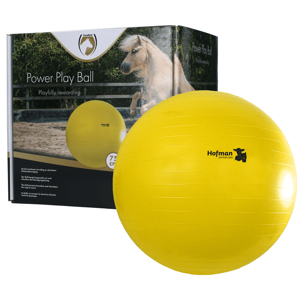Maximus Power Play Ball – balle de jeu - Trufféo