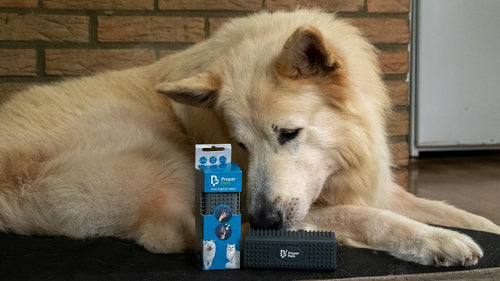 Brosse Anti-Poils pour Animaux – Élimination Rapide des Poils sur Canapés et Tapis