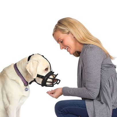 Muselière Baskerville Ultra Muzzle pour chien – Tailles T1 à T6 - Trufféo