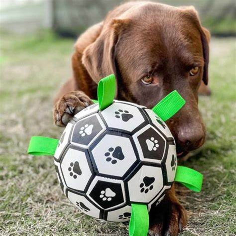 Hondenspeelgoed - Voetbal voor Honden - 16 cm - Hondenbal met Touwen – Drijvend hondenspeeltje – Met Pomp