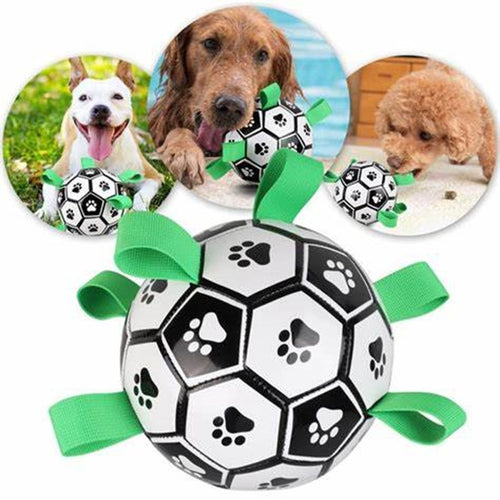 Ballon de Foot pour Chien - 16 cm - Jouet Flottant avec Cordes et Pompe