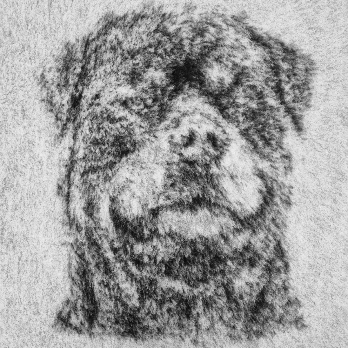 Vet Bed Rottweiler - Antislip Hondenmat