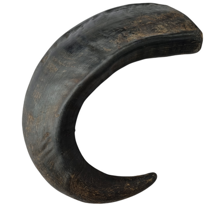 Corne de bœuf – Friandise de mastication naturelle pour chien