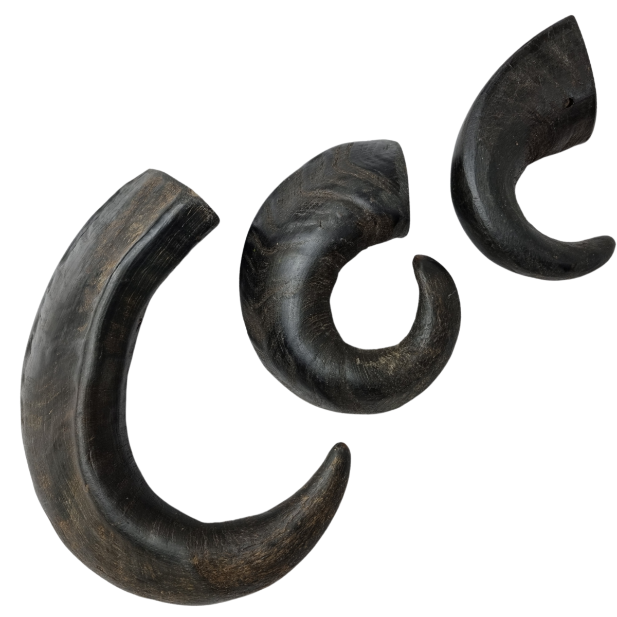 Corne de bœuf – Friandise de mastication naturelle pour chien