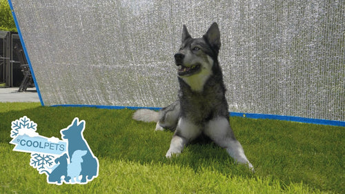 Tente d’ombre rafraîchissante pour chien – Coolpets Shade Mate