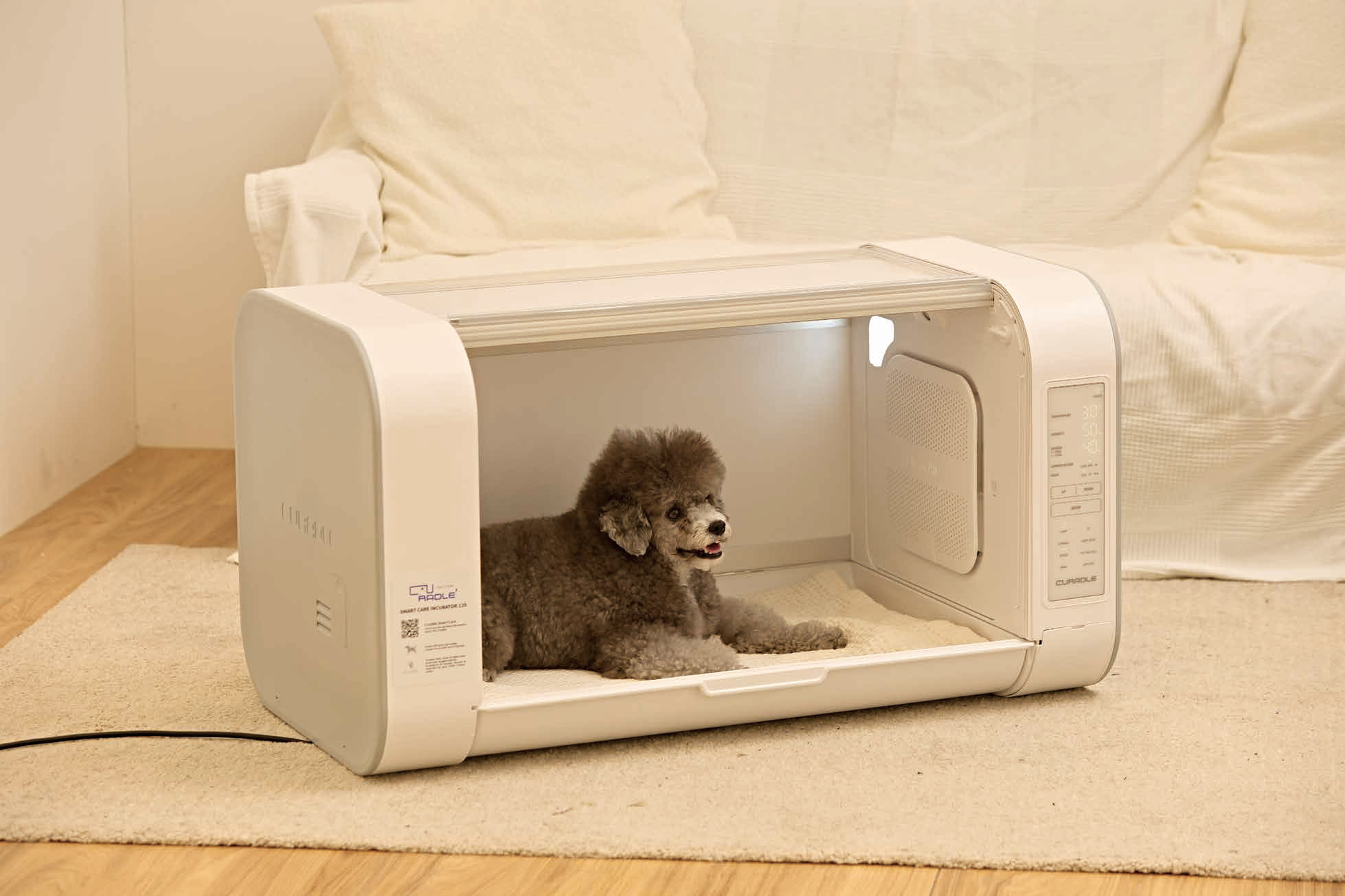 Curadle Smart Care Incubator 120 — Couveuse & Caisson à Oxygène pour Animaux (C12PX) Curadle