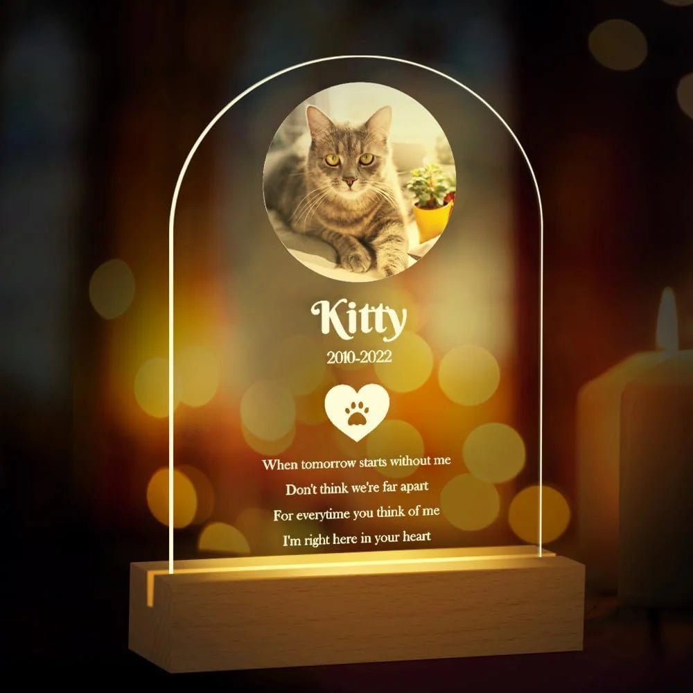Personalized Custom Pet Photo Frame 3D Acrylic Lamp Customized Dog Cat Memorial Photo Frame Pet Sympathy Gifts LED Night Light - Trufféo