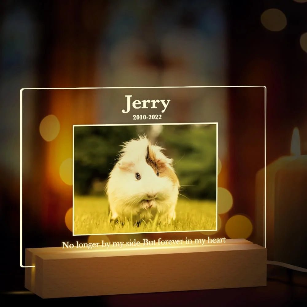 Personalized Custom Pet Photo Frame 3D Acrylic Lamp Customized Dog Cat Memorial Photo Frame Pet Sympathy Gifts LED Night Light - Trufféo