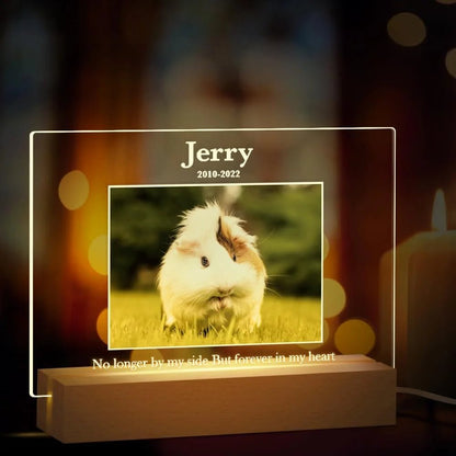 Personalized Custom Pet Photo Frame 3D Acrylic Lamp Customized Dog Cat Memorial Photo Frame Pet Sympathy Gifts LED Night Light - Trufféo