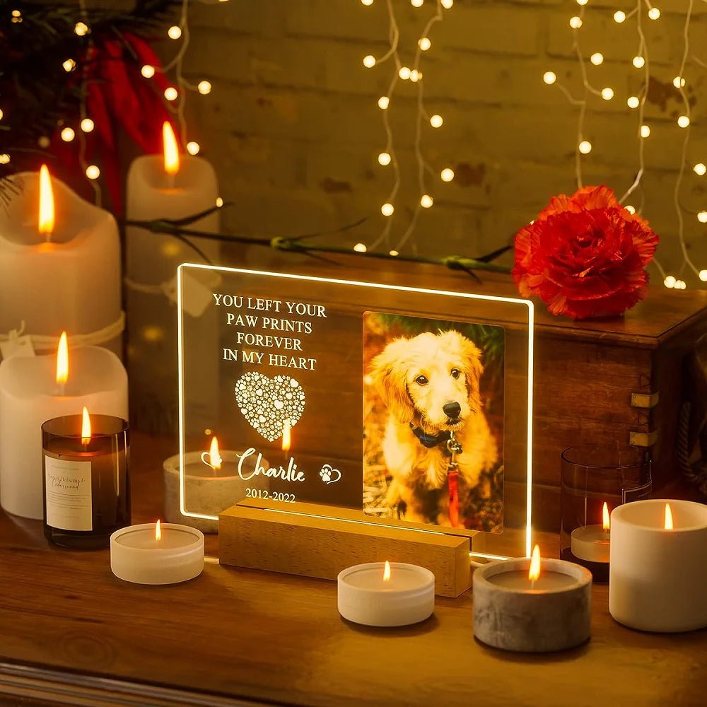 Personalized Custom Pet Photo Frame 3D Acrylic Lamp Customized Dog Cat Memorial Photo Frame Pet Sympathy Gifts LED Night Light - Trufféo