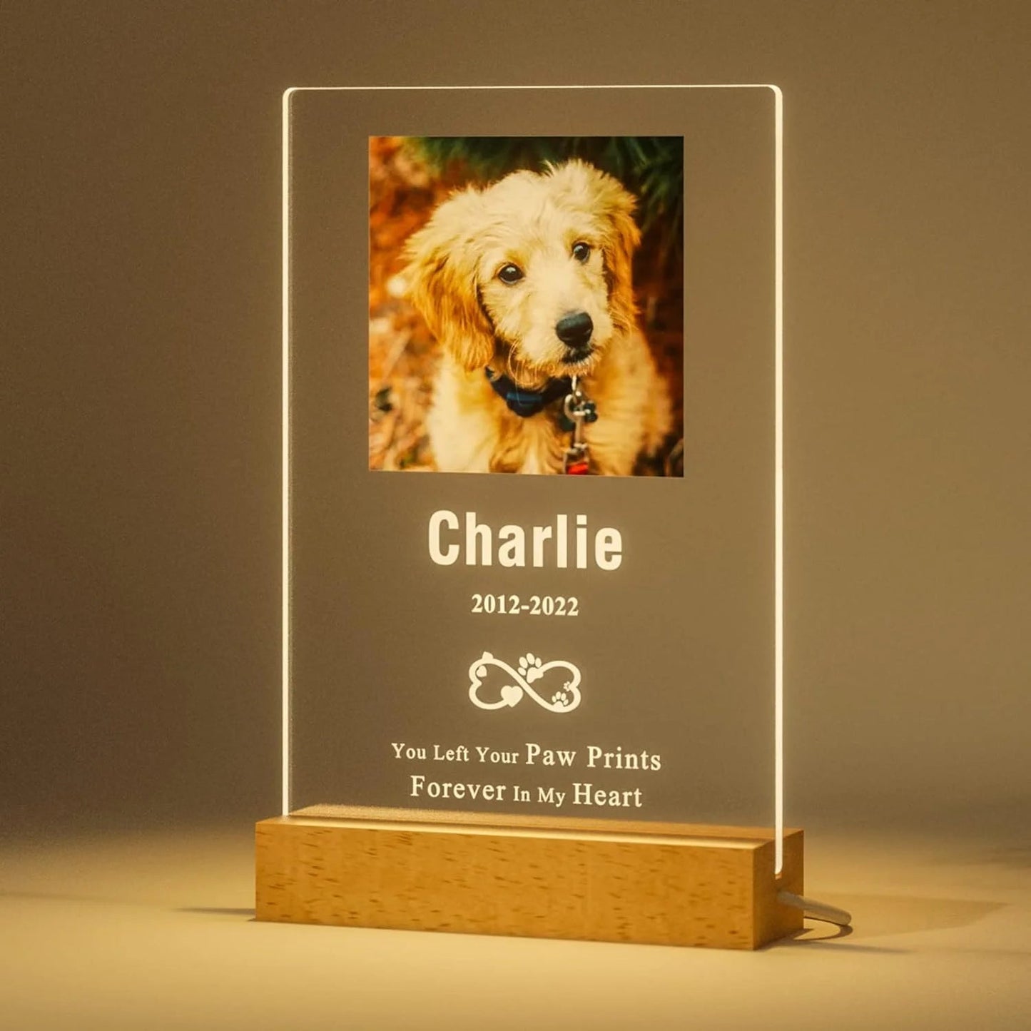 Personalized Custom Pet Photo Frame 3D Acrylic Lamp Customized Dog Cat Memorial Photo Frame Pet Sympathy Gifts LED Night Light - Trufféo