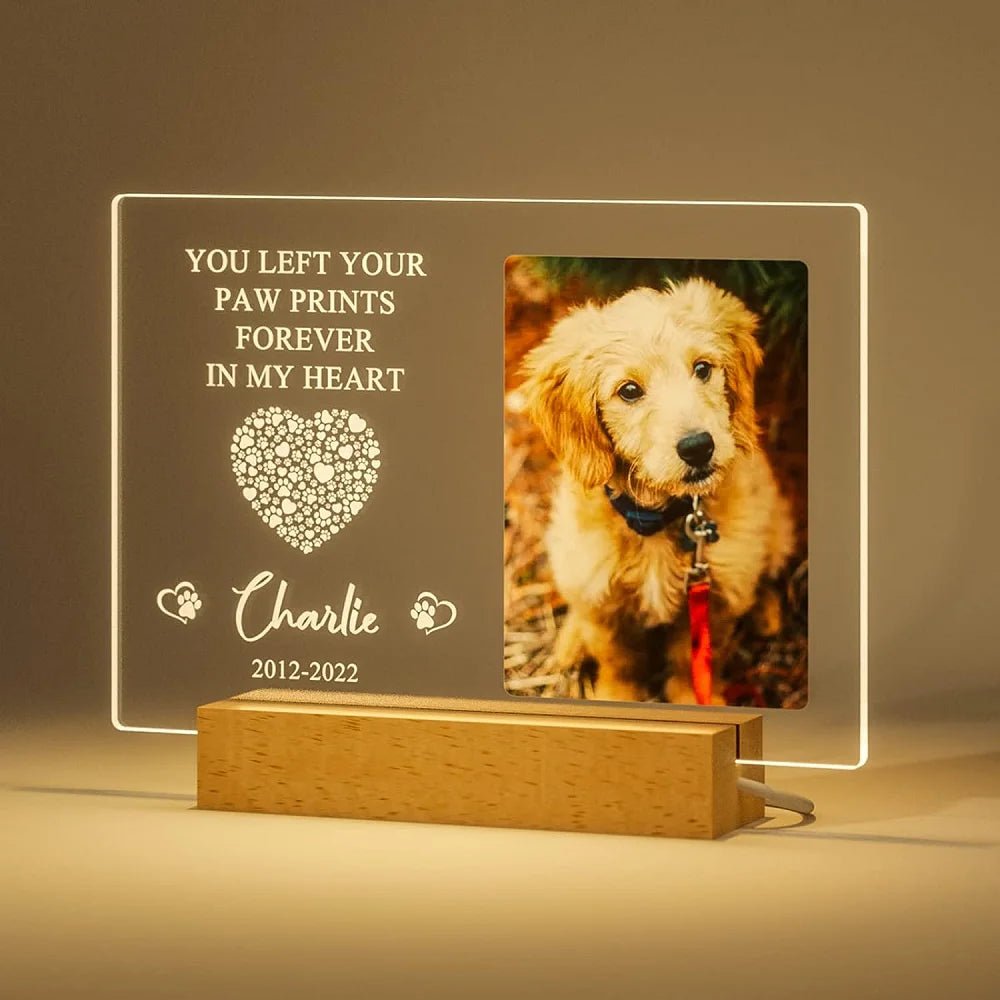 Personalized Custom Pet Photo Frame 3D Acrylic Lamp Customized Dog Cat Memorial Photo Frame Pet Sympathy Gifts LED Night Light - Trufféo