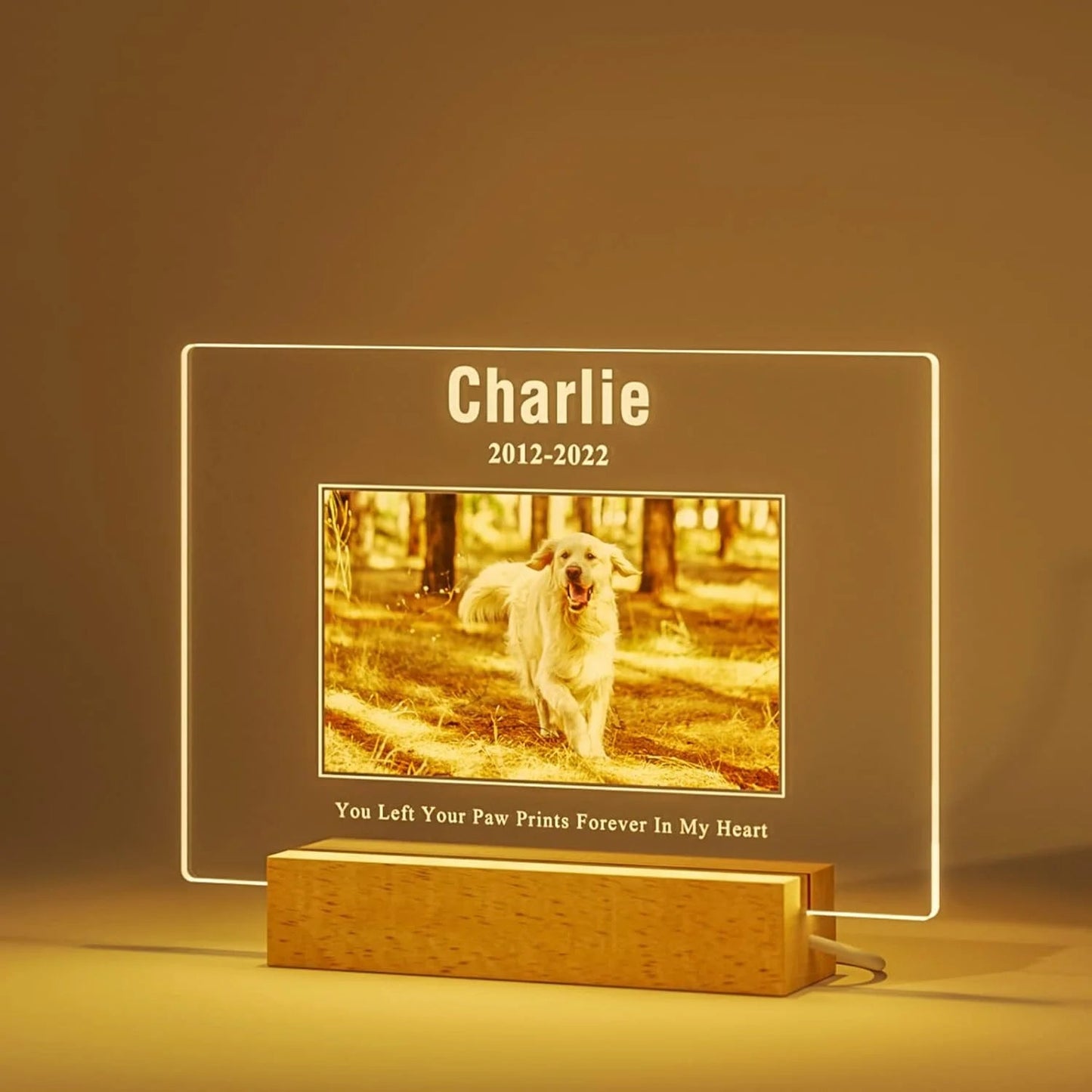 Personalized Custom Pet Photo Frame 3D Acrylic Lamp Customized Dog Cat Memorial Photo Frame Pet Sympathy Gifts LED Night Light - Trufféo