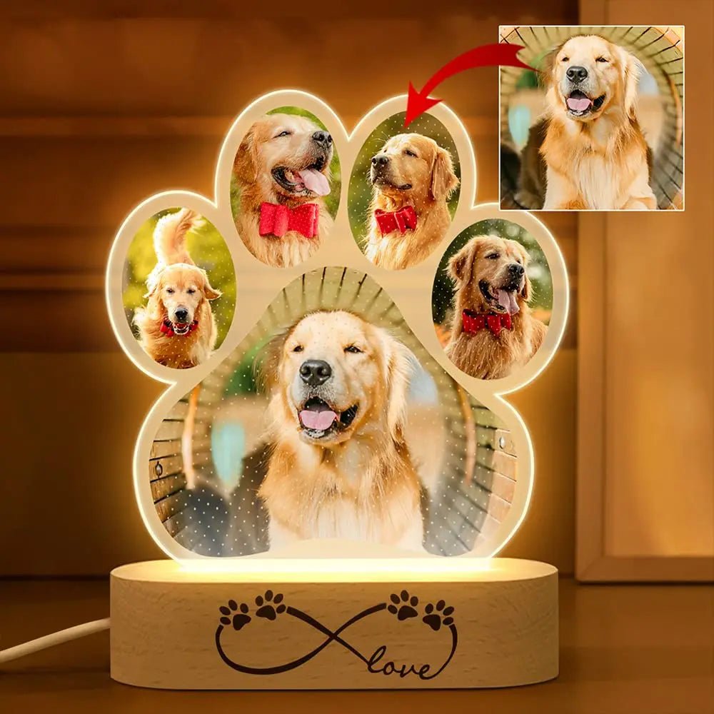 Personalized Dog Cat Pet Photo Night Light Custom Acrylic USB LED Lamp Animal Picture Decorative Lighting Sentimental Keepsake - Trufféo