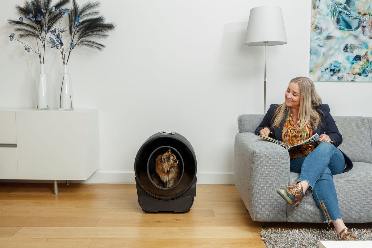 Chat Maine Coon dans une litière automatique PETLUX V3 XXL noire