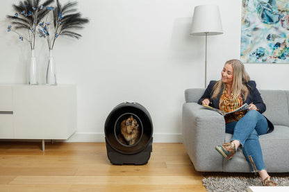 Chat Maine Coon dans une litière automatique PETLUX V3 XXL noire