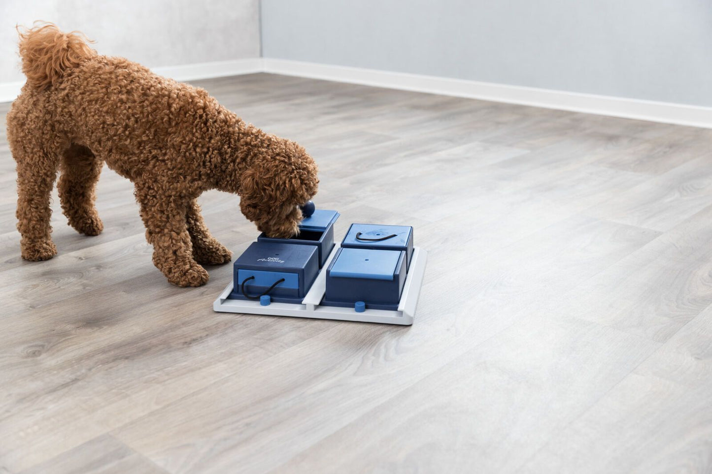 Poker Box 1 – Jeu stratégique et éducatif pour chien TOPMAST