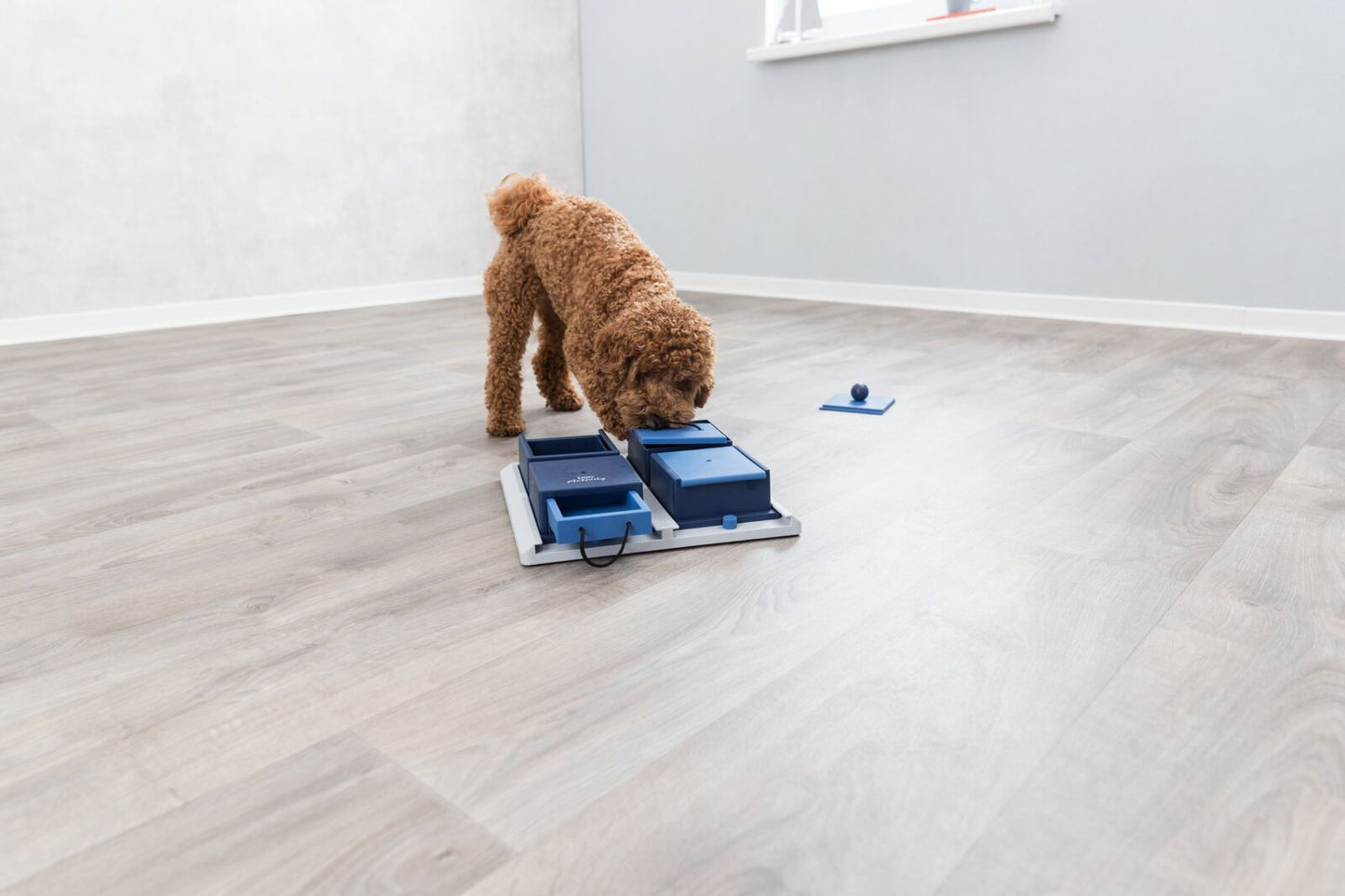 Poker Box 1 – Jeu stratégique et éducatif pour chien TOPMAST
